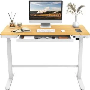 FLEXISPOT EW8 Escritorio de Pie con Tablero Entero(Arce, 120X60cm)